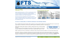 Desktop Screenshot of f-ts.com